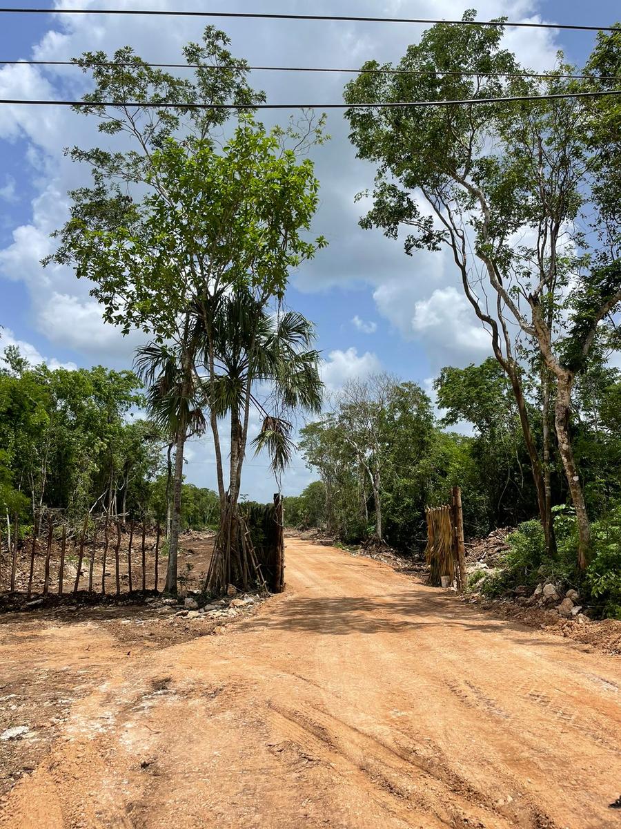 Venta de terrenos en la ruta de los Cenotes Puerto Morelos