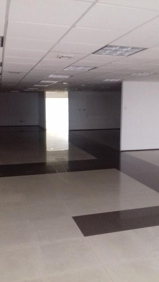 Oficina en renta en Anzures 154 m2