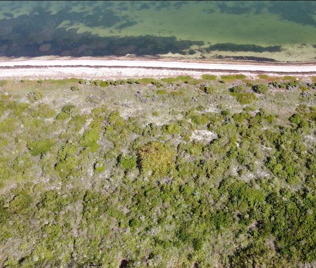 Terreno en Venta en Santa Clara, Yucatán