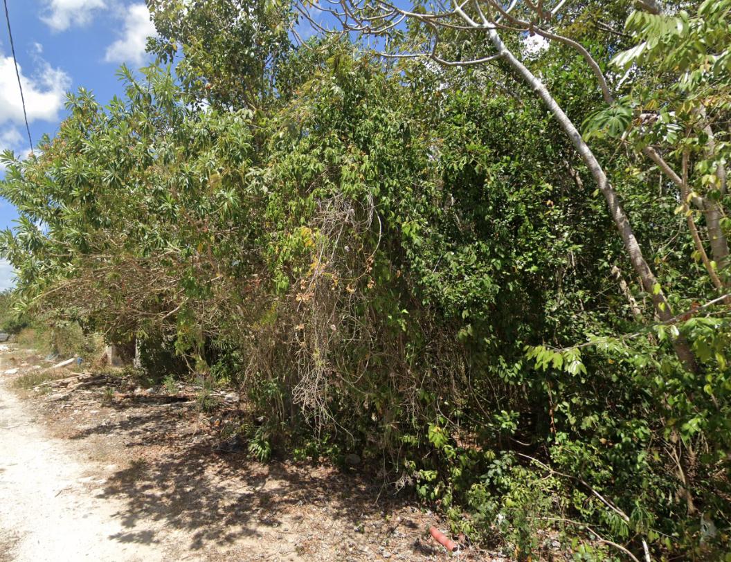 Terreno en Alamos II