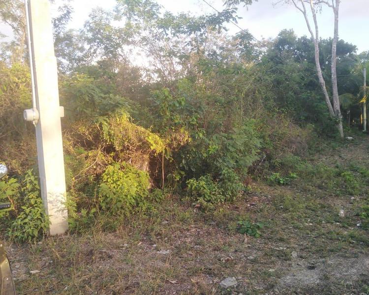 Terreno a pocos metros de la laguna de Bacalar