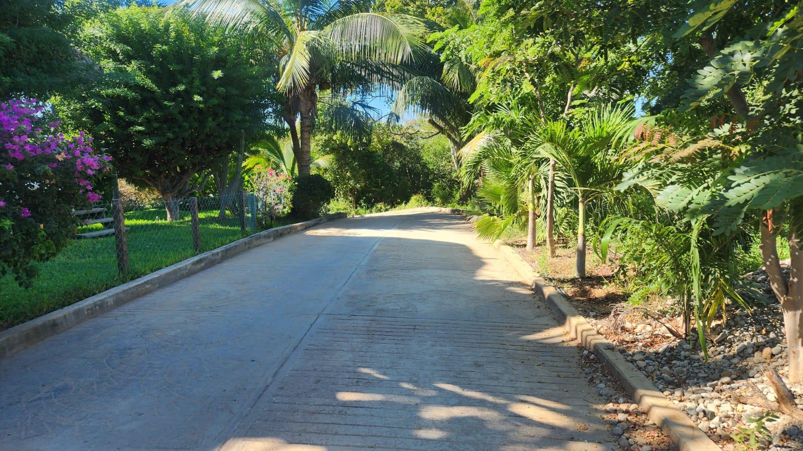 TERRENOS EN LA FORESTA, BARRA DE NAVIDAD, PUERTO ESCONDID, OAXACA