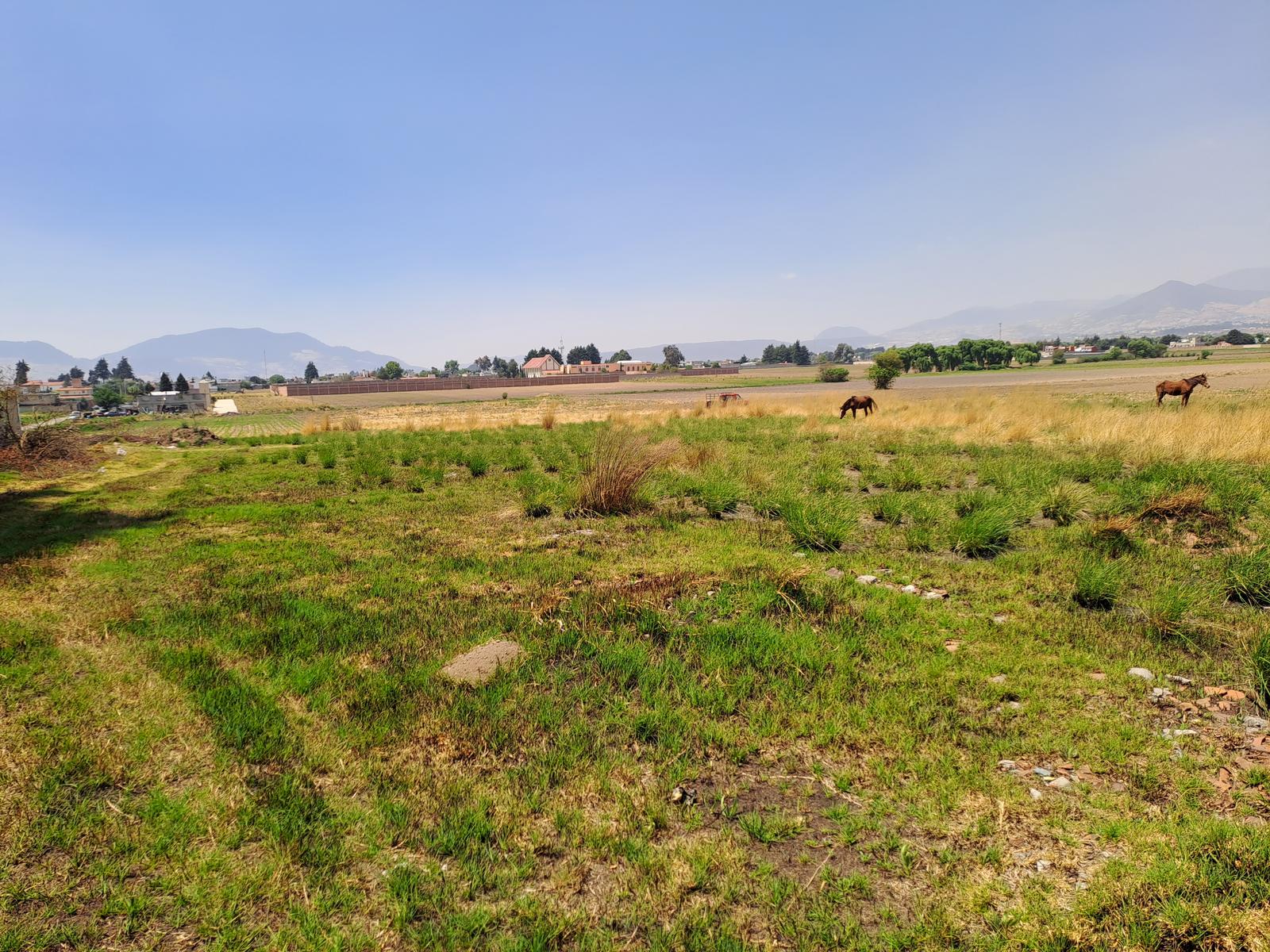 Terreno en  venta en Calimaya México