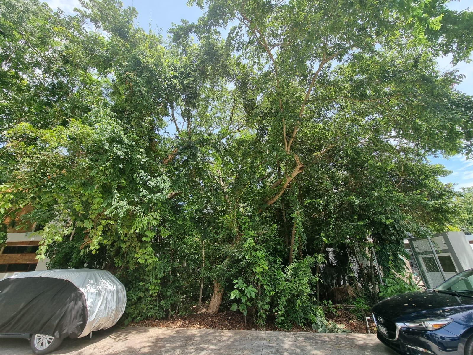 Lote en venta en la comunidad de Selvamar Playa del Carmen