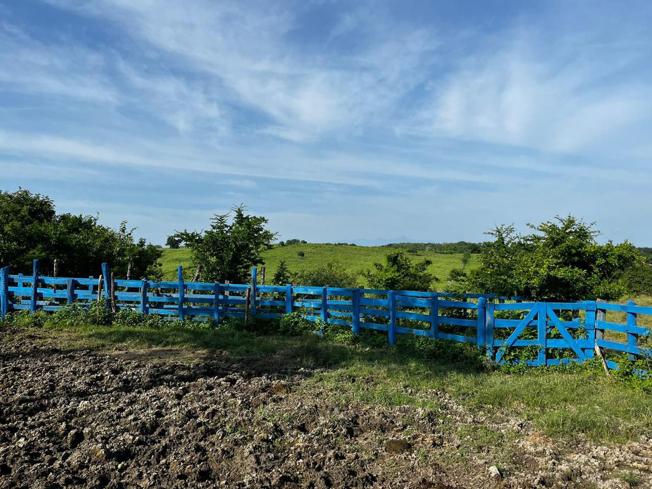 Terreno en  El Corozal