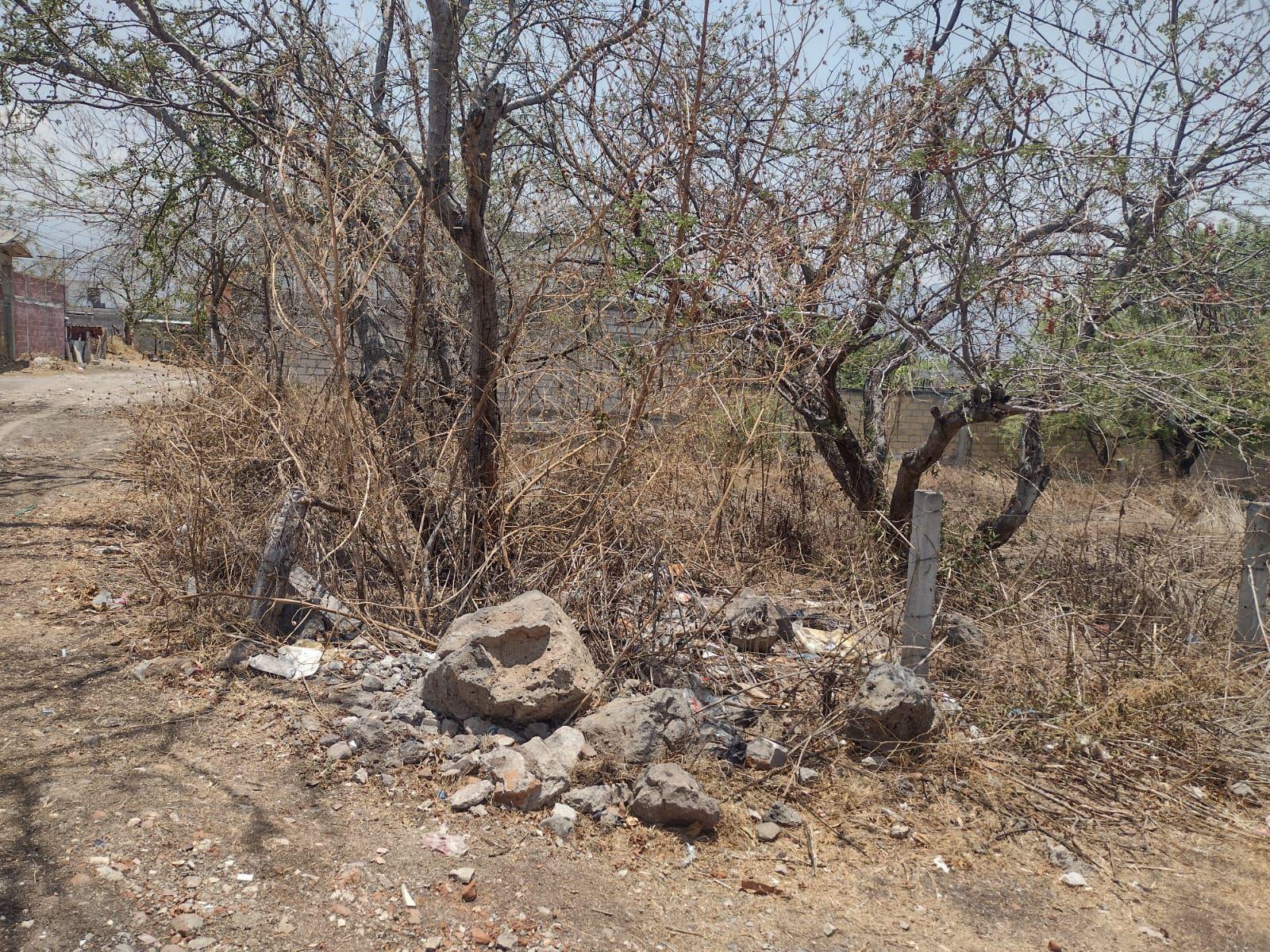 Terreno en Emiliano Zapata