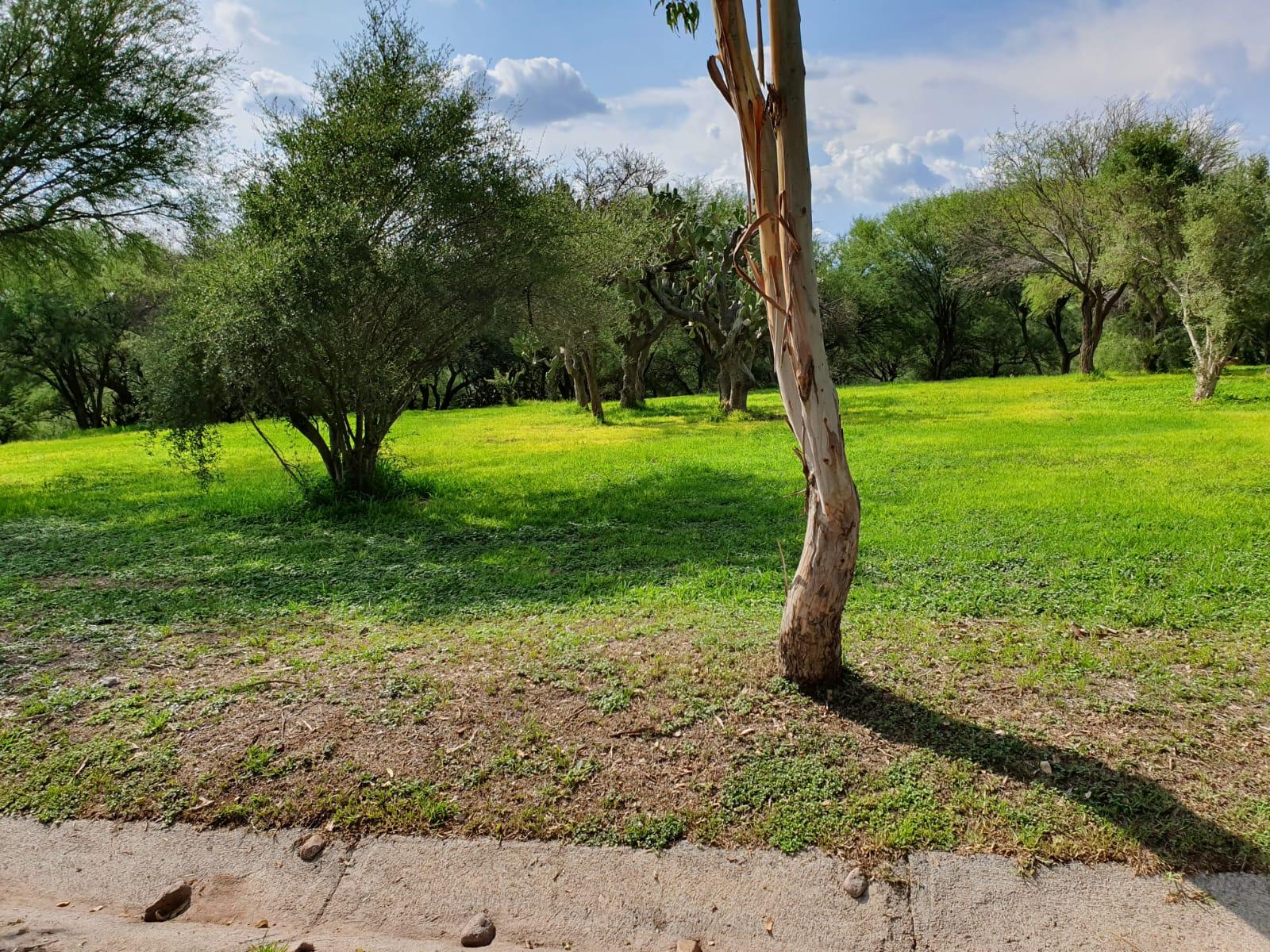 Terreno en Rancho o rancheria Salto de los Salados, Aguascalientes