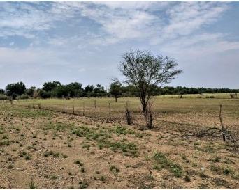 Terreno en  Venta cadereyta Jimenez