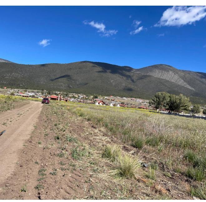 TERRENOS EN VENTA EN FRACCIONAMIENTO LOS ENCINOS EN ARTEAGA, COAHUILA