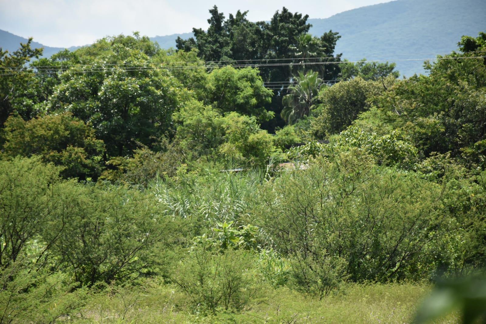 Terreno en Venta Morelos