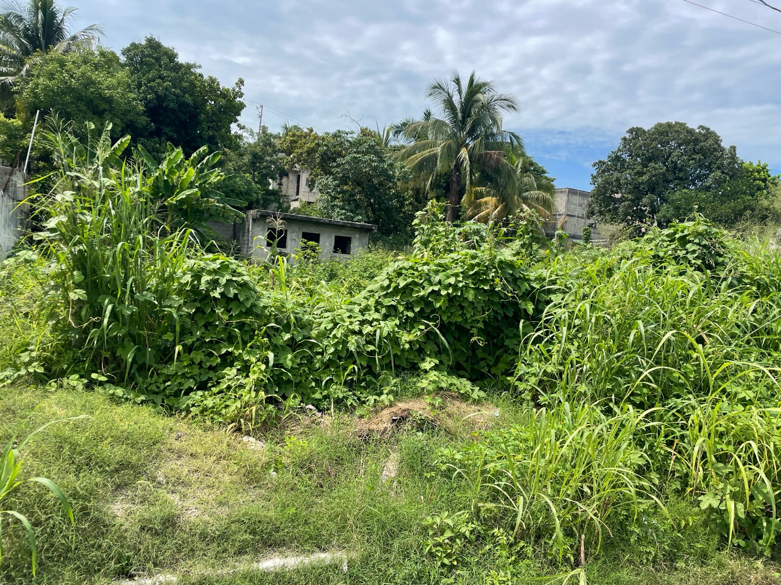 TERRENO EN VENTA EN CAMPECHE COL REVOLUCION