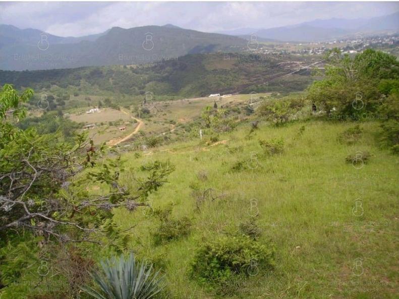 Terreno en Ejido Guadalupe Victoria