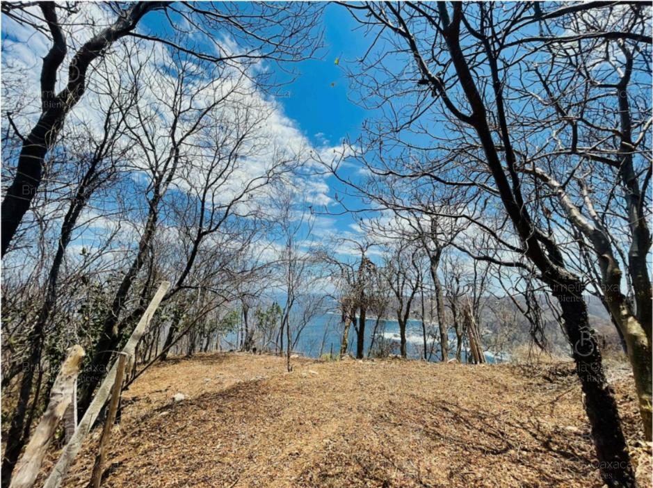 Terreno en Rancho o rancheria El Vigía