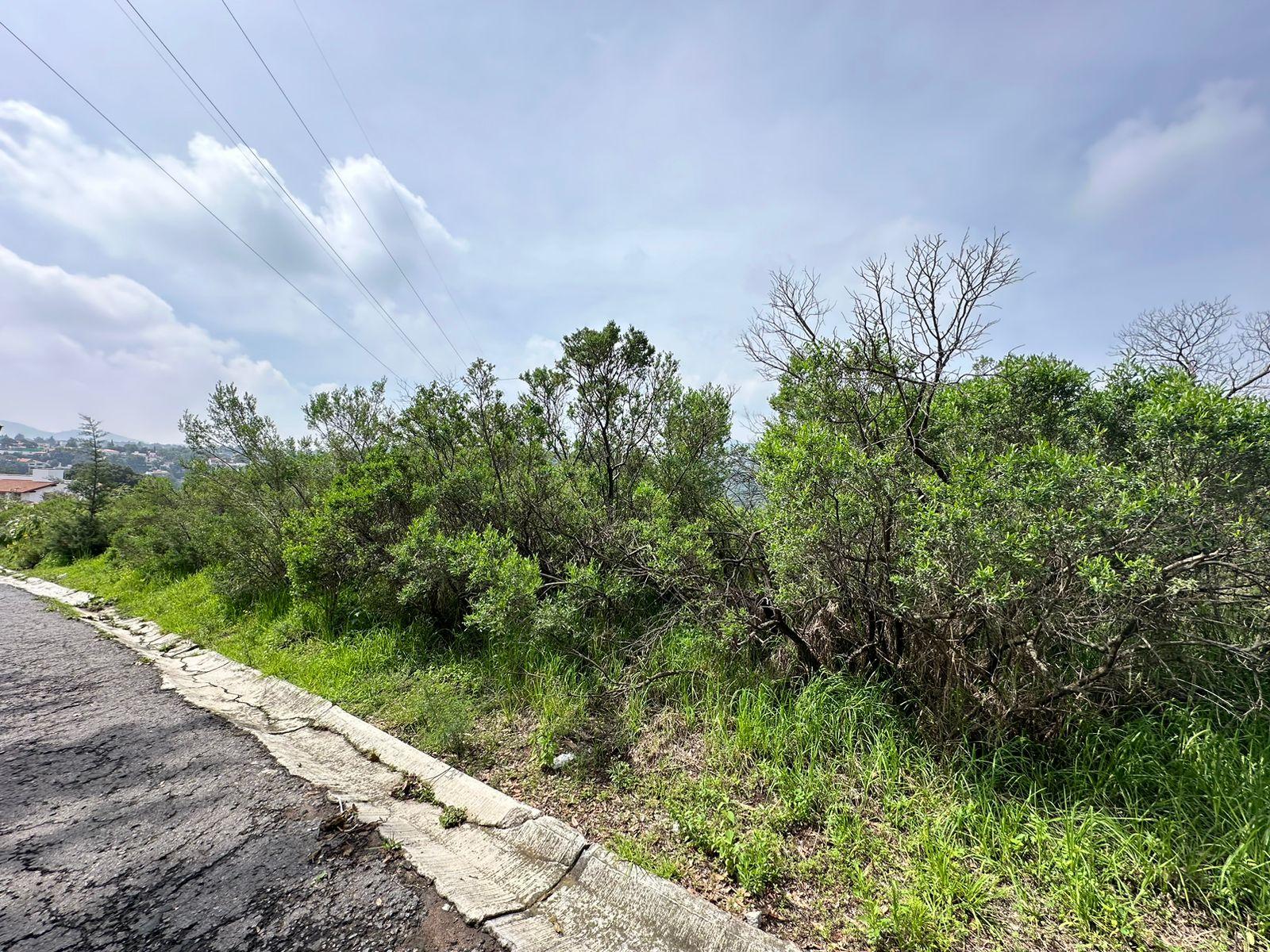 Terreno en Fincas de Sayavedra