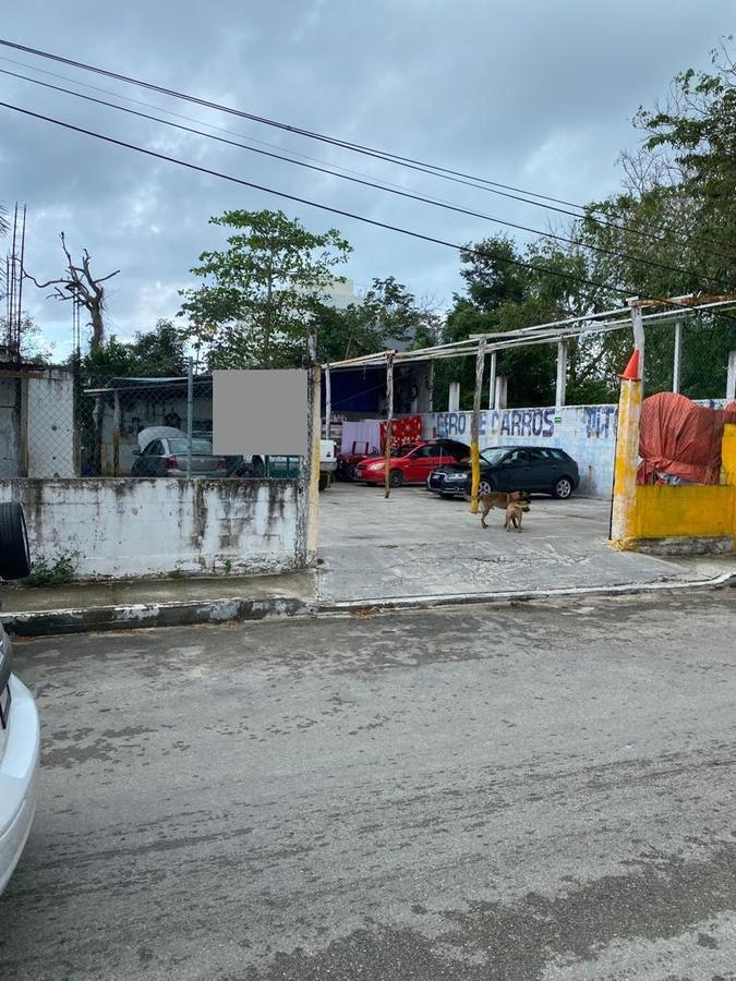 Inversión lucrativa: 2 Terrenos de 250m2 en Puerto Morelos, Quintana Roo