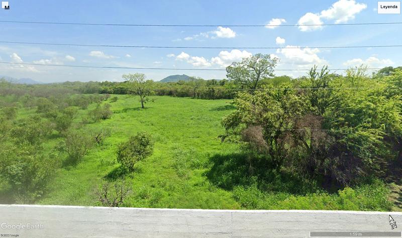 Venta terreno 60 hectáreas Loc. Tepetzintla Álamo Veracruz.