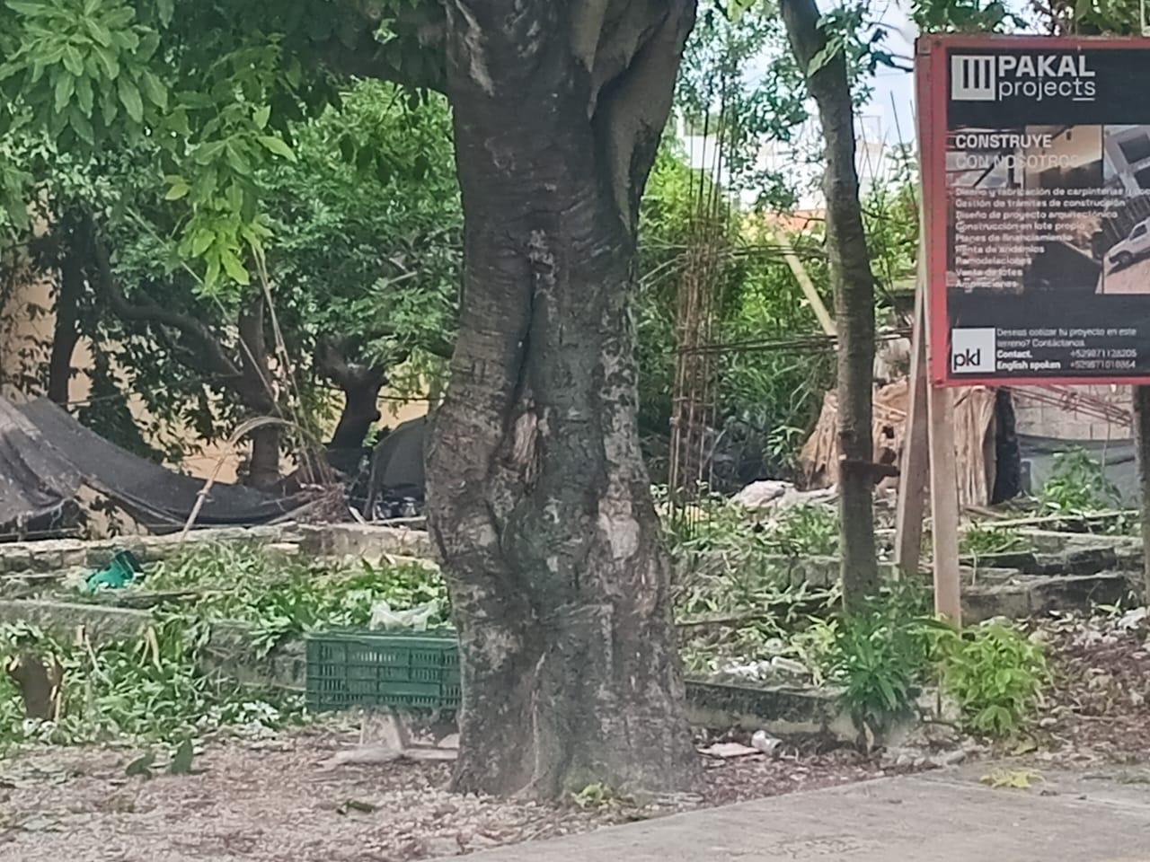 Terreno en  venta en la calle 20 en cozumel