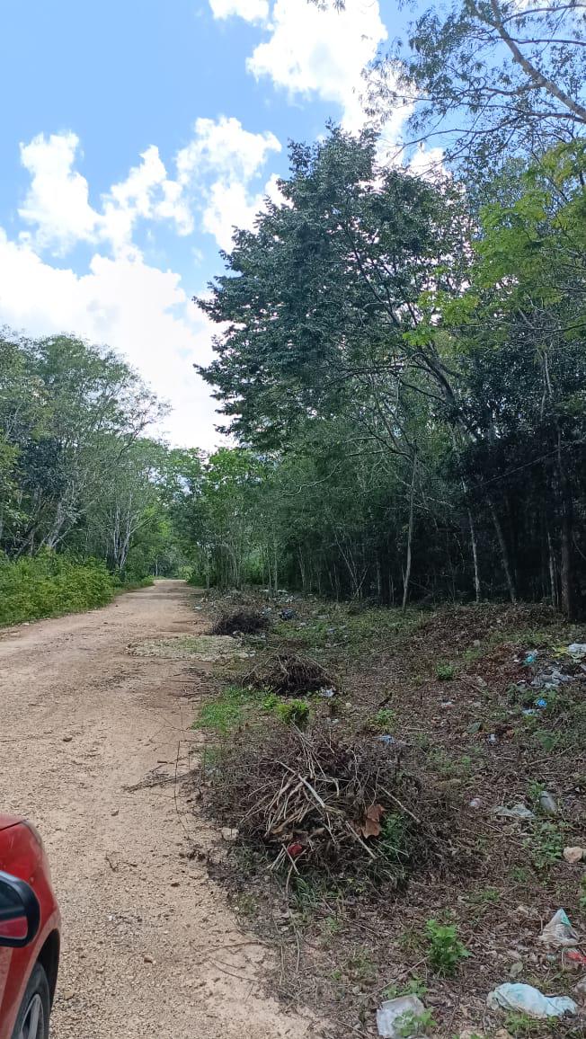 Terreno en Leona Vicario, Puerto Morelos, Quintana Roo