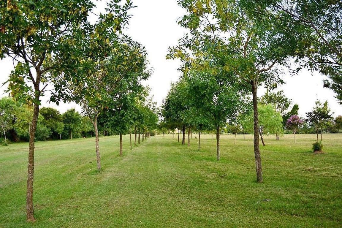 Terreno en Venta en Oliveros, Departamento de Iriondo