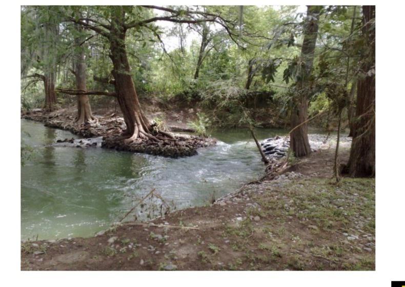 TERRENOS EN VENTA EN ALLENDE