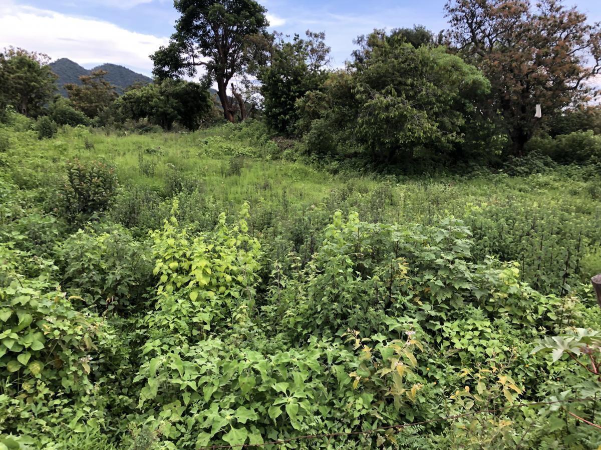 TERRENO EN VENTA EN MALINALCO