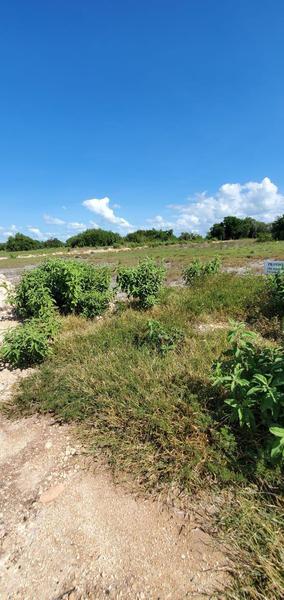 CHETUMAL/CALDERITAS QUINTANA ROO MX  TERRENO EN VENTA FRENTE A LA BAHIA