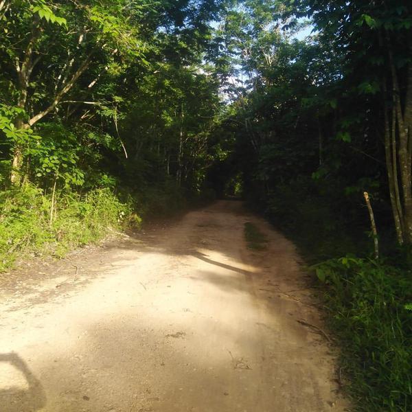 Terreno en Bacalar