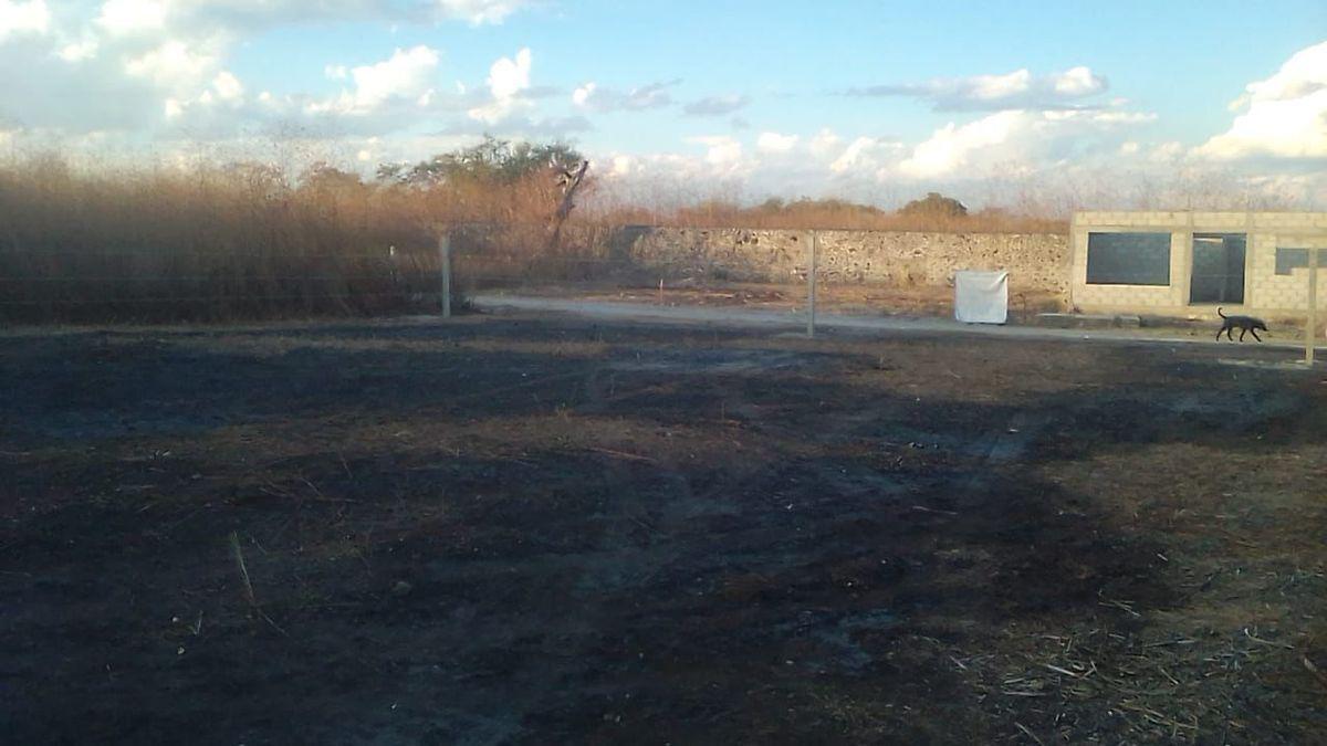 TERRENO EN VENTA ejido Xoxocotla