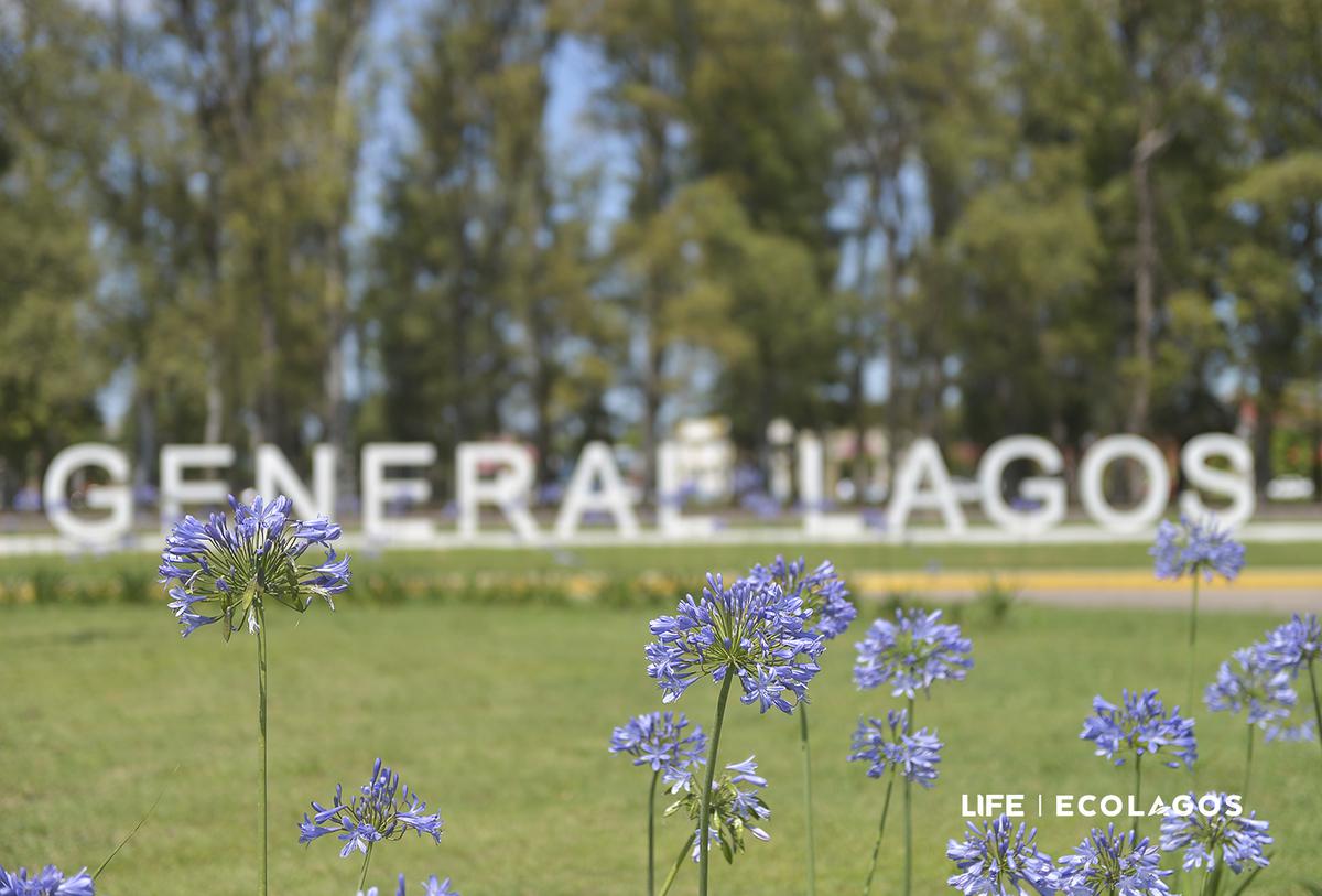 Terreno de 300 m2 en General Lagos - EcoLagos Este