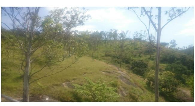 Terreno en  TIXTLA, GUERRERO