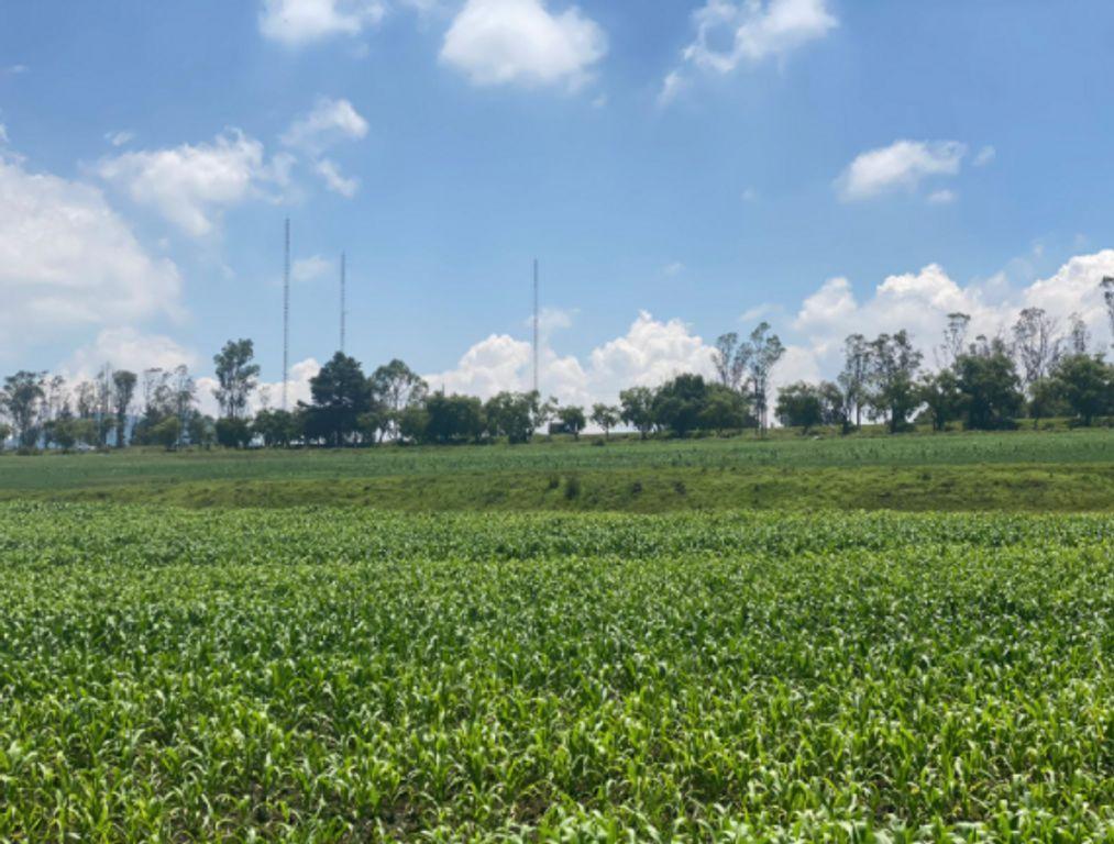 TERRENO EN VENTA EN CARR TOLUCA-ATLACOMULCO