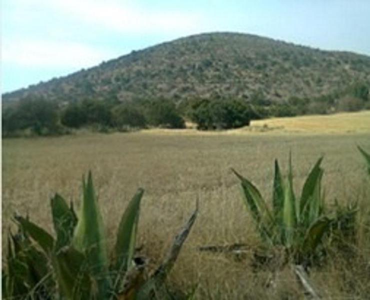 TERRENO EN VENTA EN CALPULALPAN ESTADO DE MEXICO