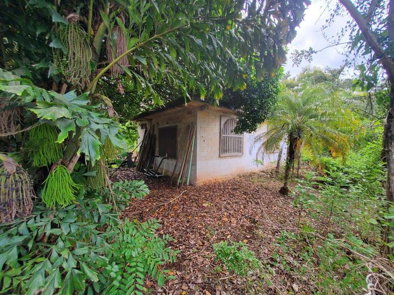 TERRENO EN BACALAR A 5 MINUTOS DE LA LAGUNA