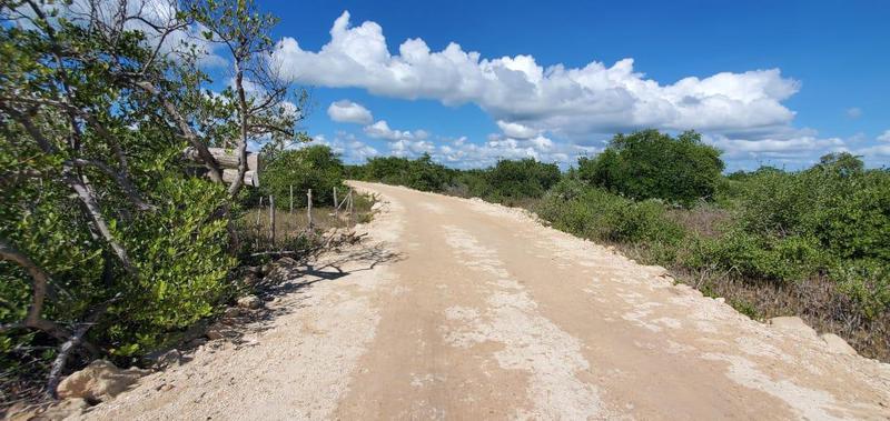 TERRENO A LA ORILLA DEL MAR MUY CERCA DE CHETUMAL