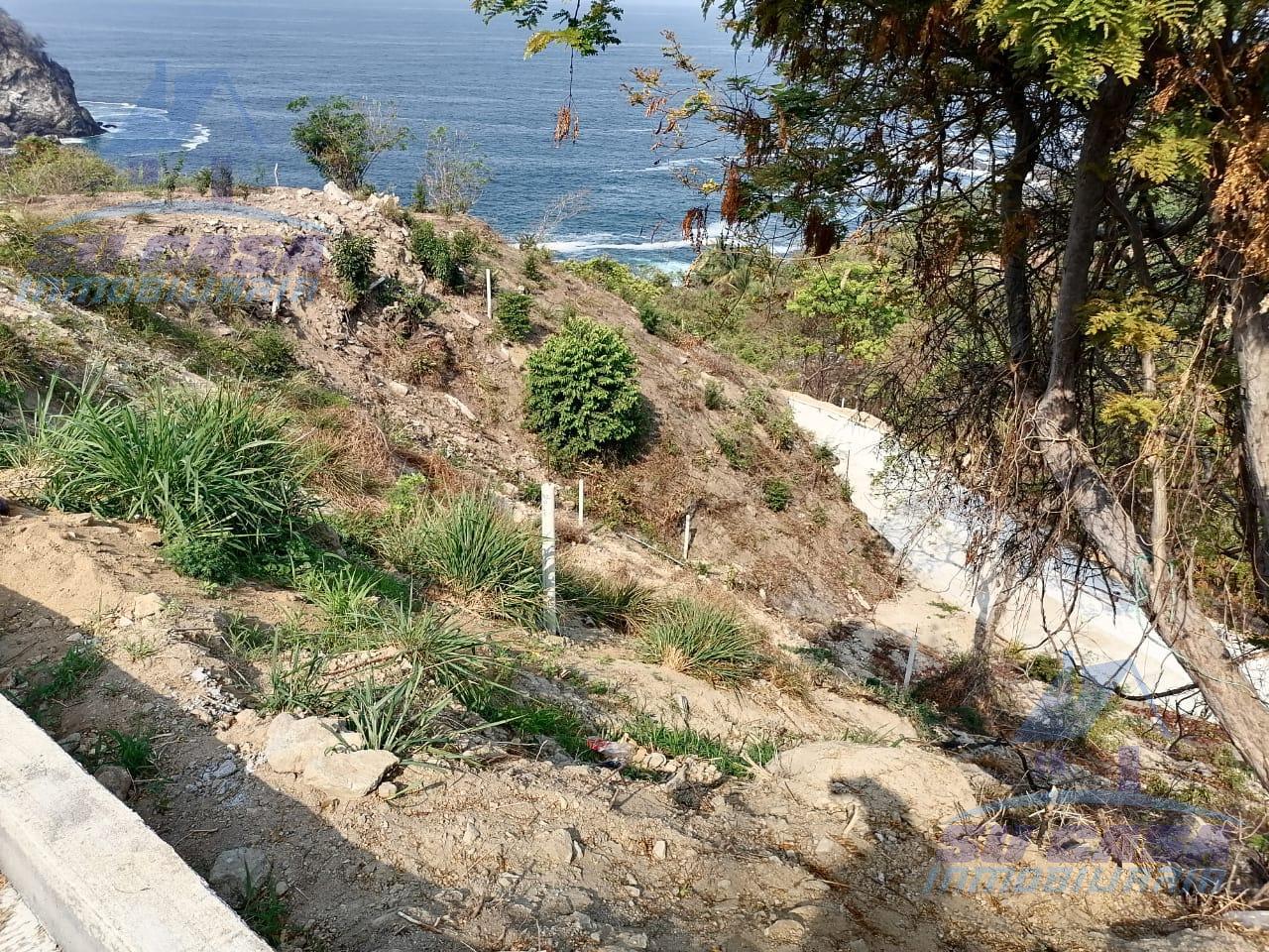 TERRENOS UBICADOS EN PUNTA BRAVA, BALCONES AL MAR, ACAPULCO