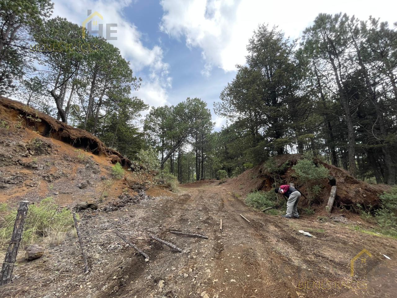 Terreno en venta en las vigas Zona cerro colorado