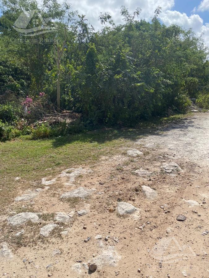 Terreno en Venta o Renta en Cancún calle Fonatur en esquina zona muy comercial  facil acceso B-ALRZ6875