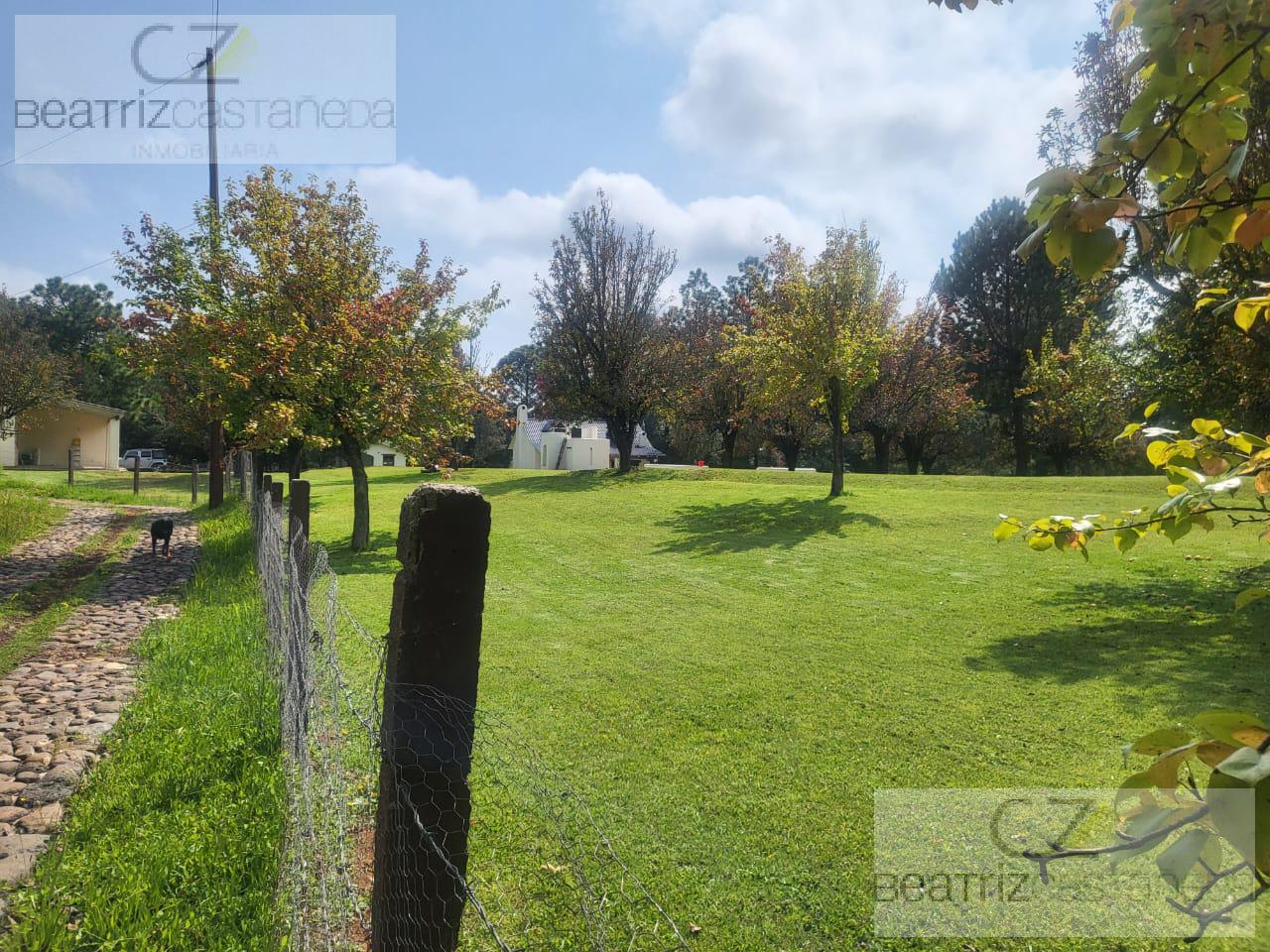 TERRENO EN QUINTA ANDREA, HUASCA, HGO.