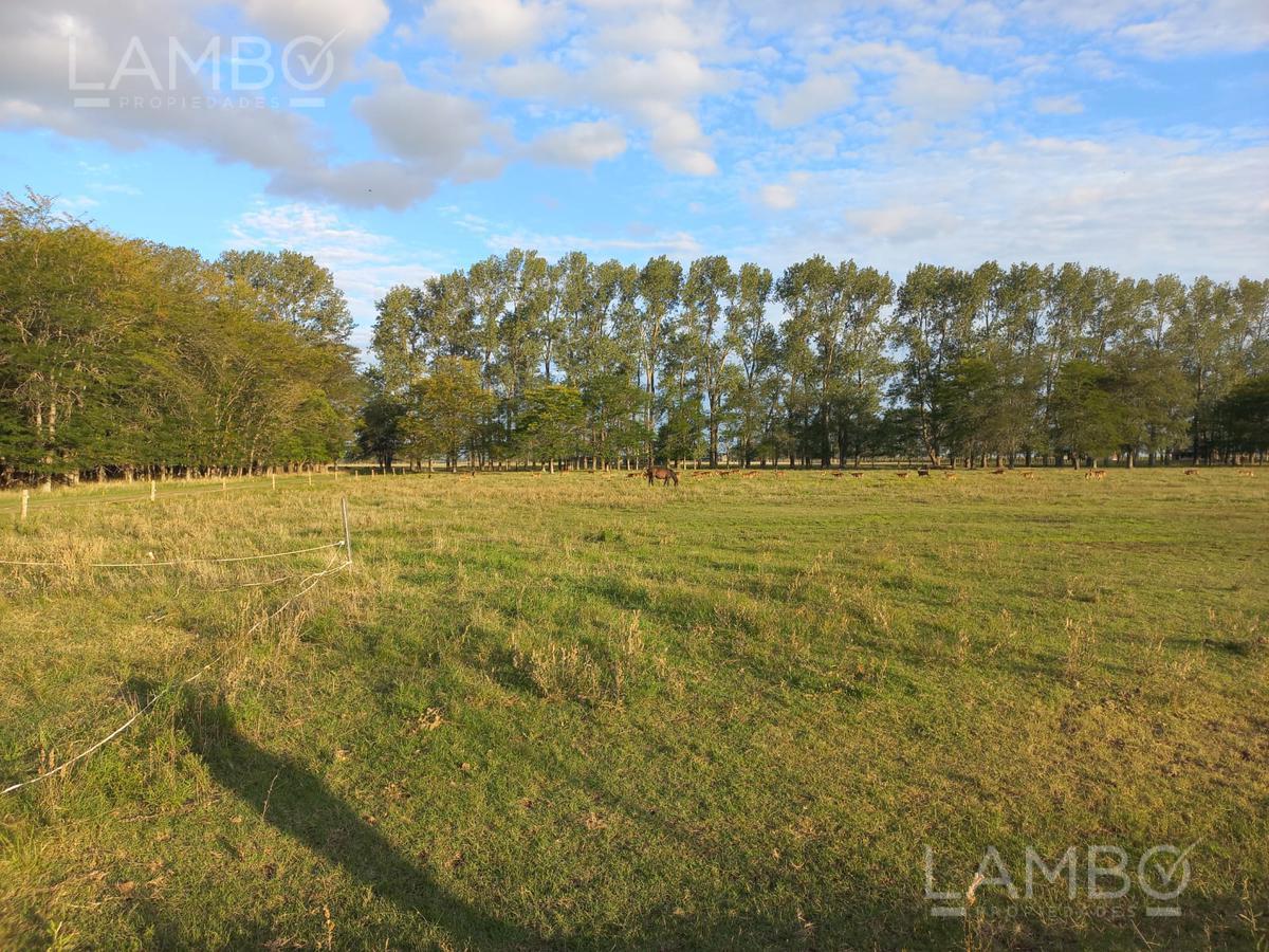 VENTA-LOTE-CHACRA-CARMEN DE ARECO-LA ALAMEDA