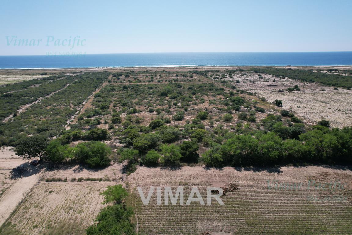 Terreno - para desarrollo inmobiliario o lotificación - Puerto Escondido Centro