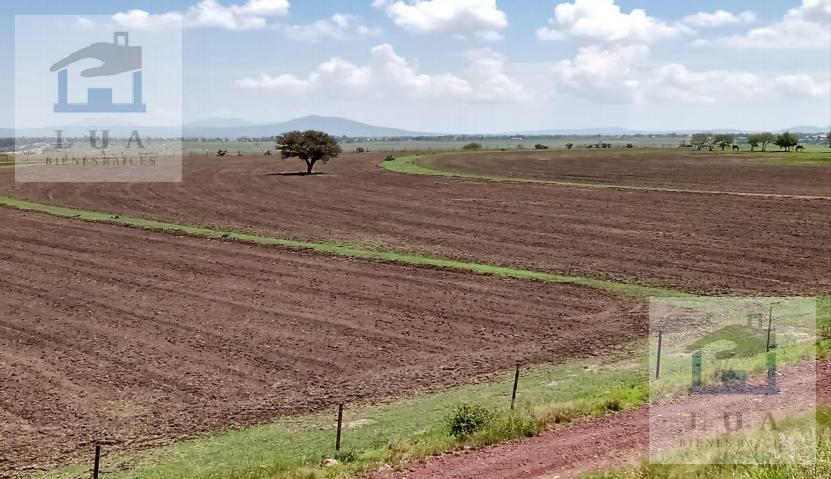 VENTA RANCHO 100 HECTÁREAS, LA ESTANCIA, ALCALDÍA ACULCO EDO. MÉXICO