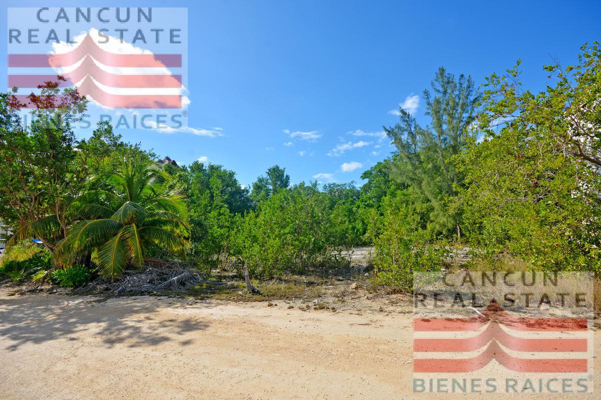 Terreno en Venta, para uso mixto en Playa del Carmen.