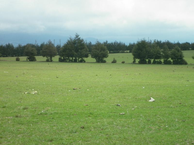 RANCHO CHIGNAHUAPAN