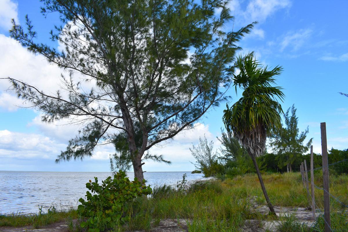 Terreno en venta Isla Blanca en Laguna Chacmuchuc Cancún