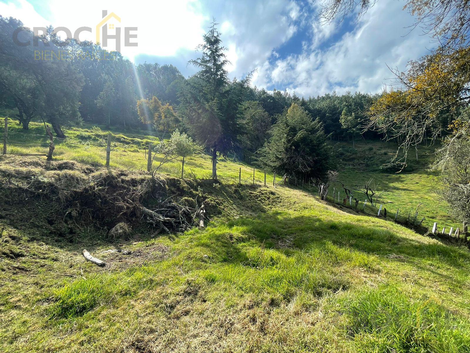 Terreno en venta Mpio. Las Vigas zona de Toxtlacoaya