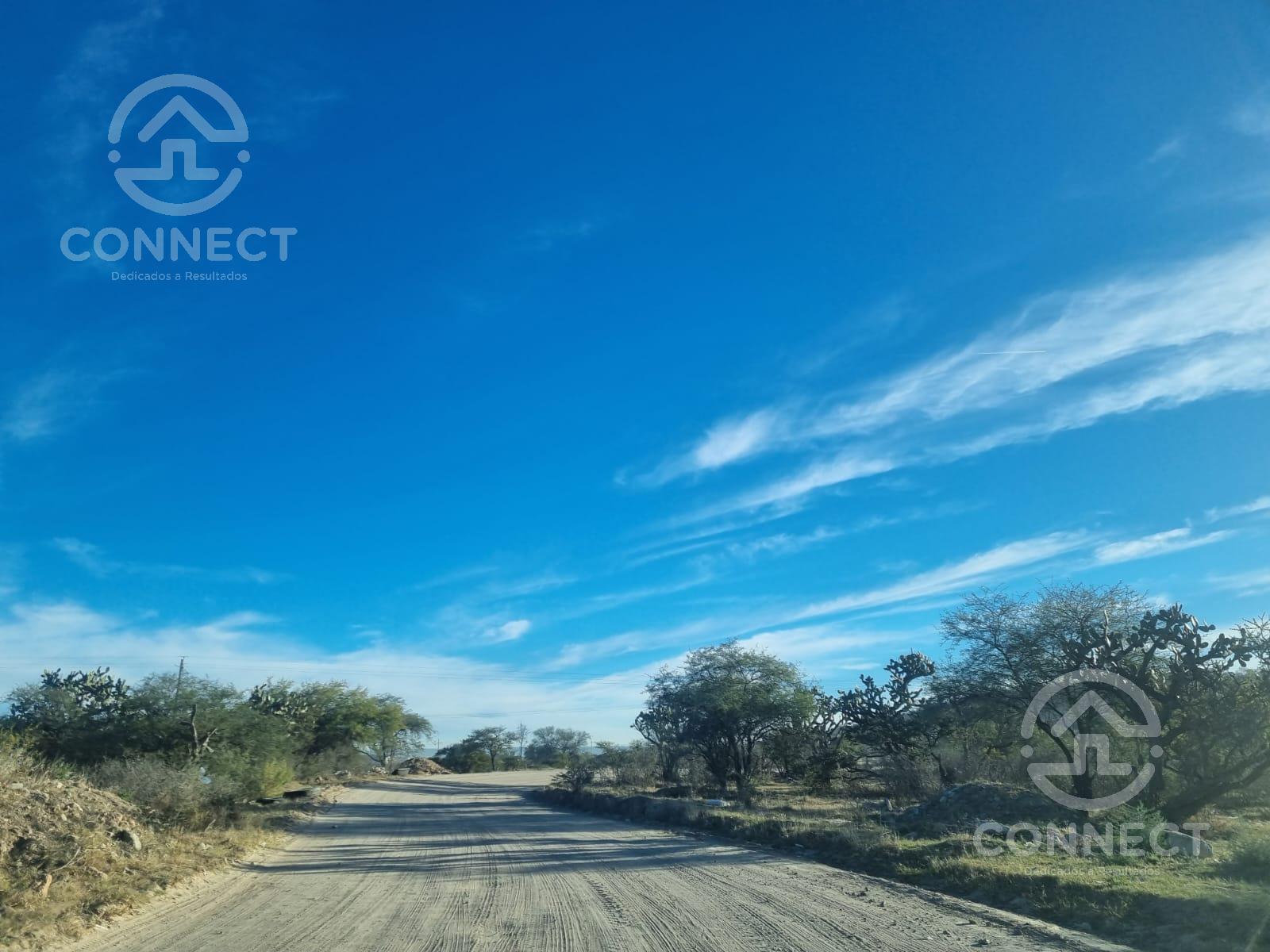 VENTA TERRENO CAÑADA DE SAN JORGE LAGOS DEL MORENO, JALISCO