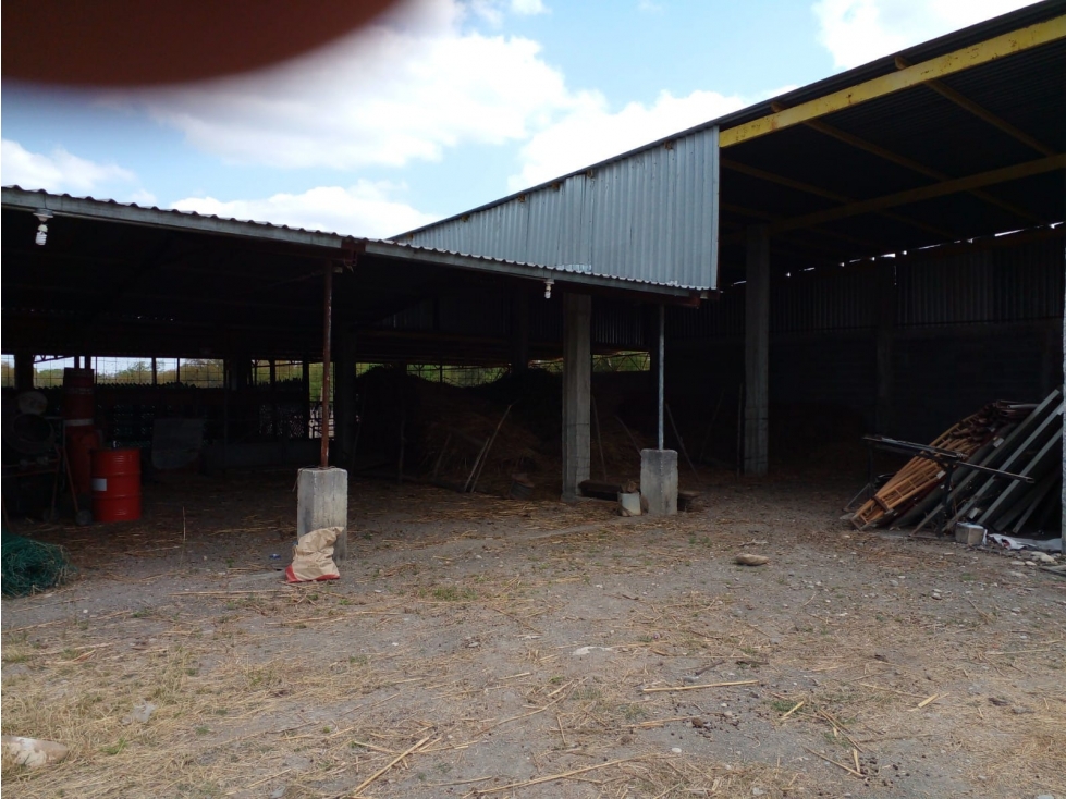 Bodega en Renta en Cadereyta Nuevo León