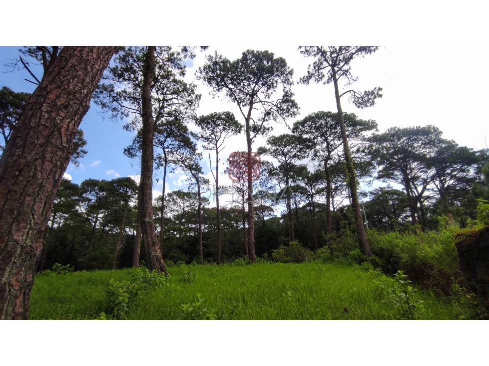 Terreno Campestre en venta,  Fraccionamiento Amigos del Bosque