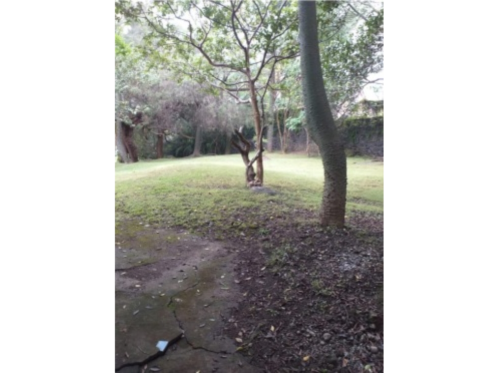 Venta de Terreno en La Colonia Rancho Cortes