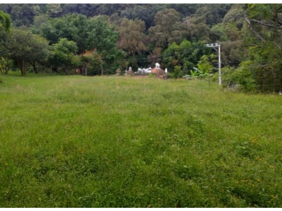 Venta de Terreno en La Colonia Rancho Cortes